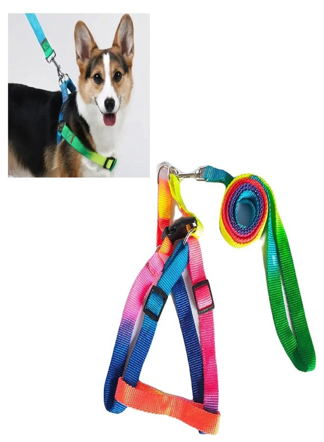 RoverPets Rainbow Design Harness and Leash Set for Small Dogs & Puppies - 15mm Adjustable Soft Strap Set for Mini Breeds - Comfortable & Lightweight Pet Walking Set - Image 1